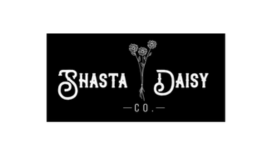 ShastaDaisy270x160